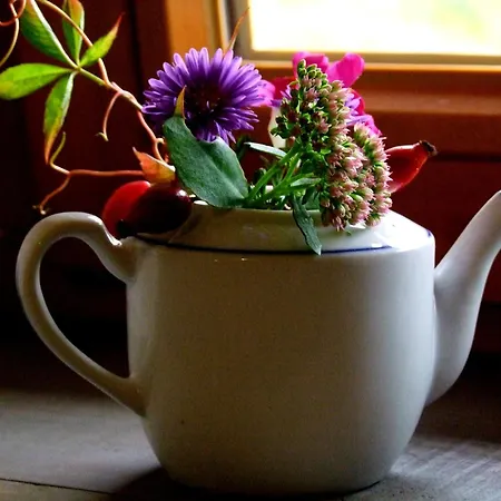 Vogelsang Neuburg (Mecklenburg-Vorpommern)