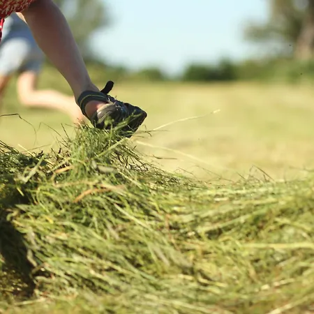 Vogelsang Lejlighed Neuburg (Mecklenburg-Vorpommern)