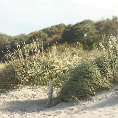 Vogelsang * Neuburg (Mecklenburg-Vorpommern)