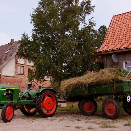 Vogelsang Neuburg (Mecklenburg-Vorpommern)