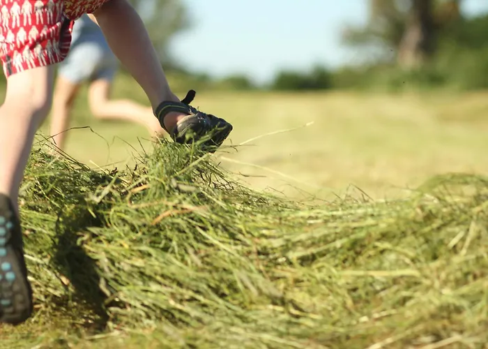 Vogelsang Apartman Neuburg