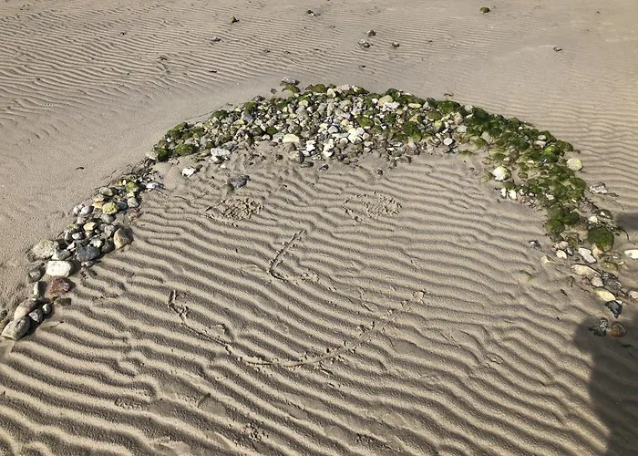 Vogelsang Apartman Neuburg